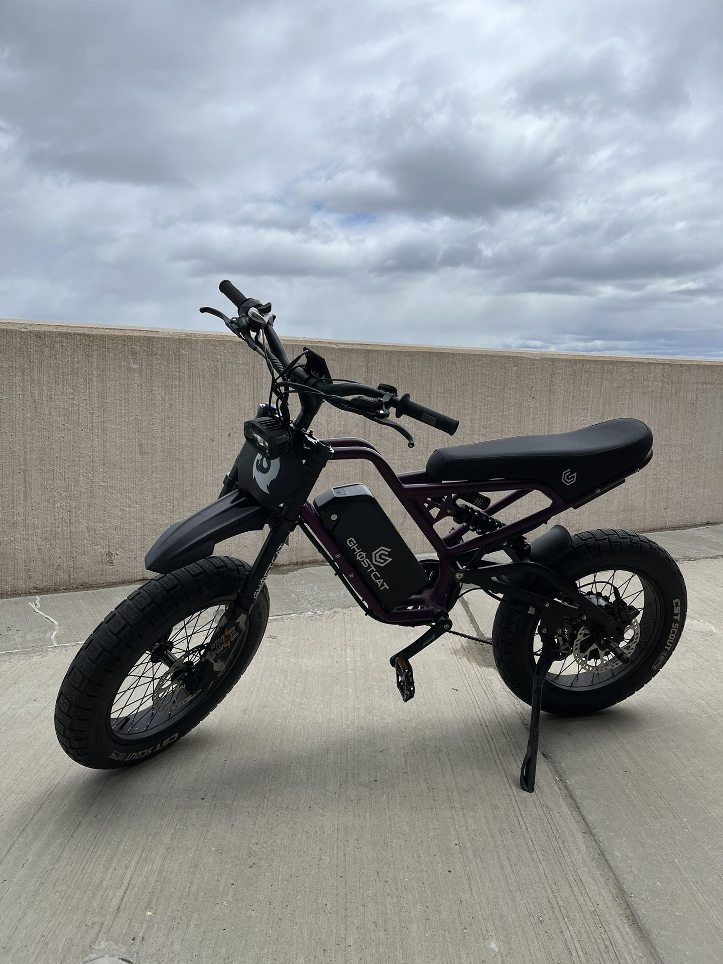 GHOSTCAT F3X (purple) (45mph!)