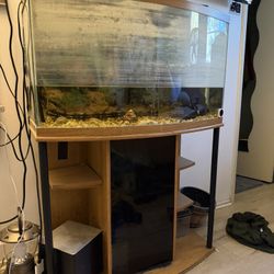55 gallon fish tank W Stand Complete 