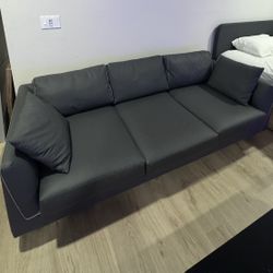 Grey Couch 
