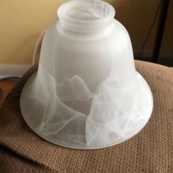 Light Bulb Cover