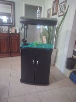 36 Gallons Fish Tank Fish With Stand Bow Front Fish Tank