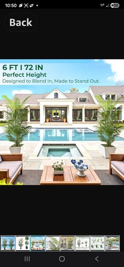 6FT Tall Artificial Palm Trees, Potted Plant (2 Pack) Tropical Areca Palm, UV Resistant Indoor/Outdoor Fake Plant in Black Cement Pot, Realistic Decor