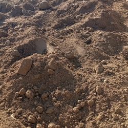 Free Dirt And Free Delivery 