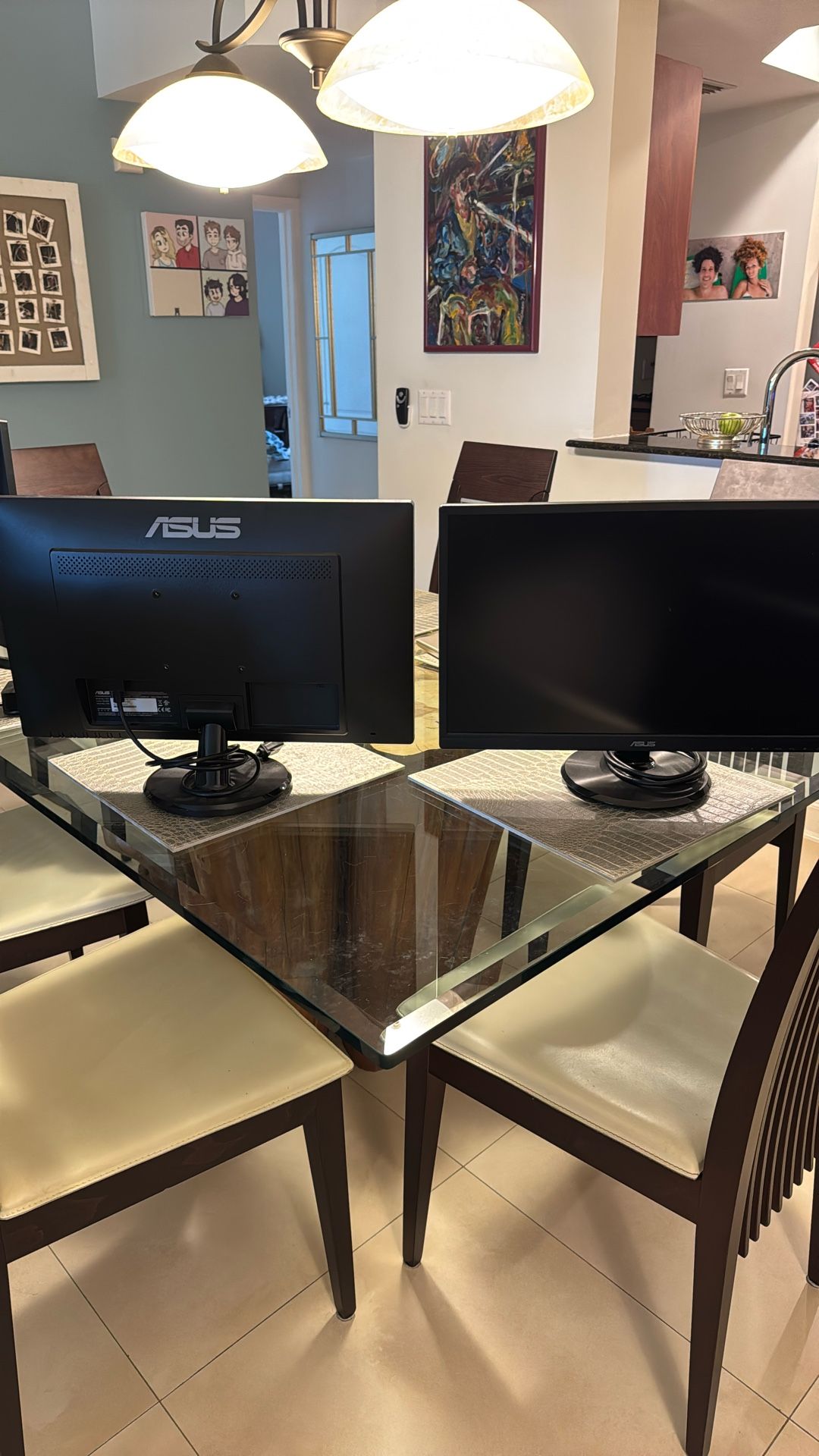 Asus 24" Monitors (Yes, TWO!)