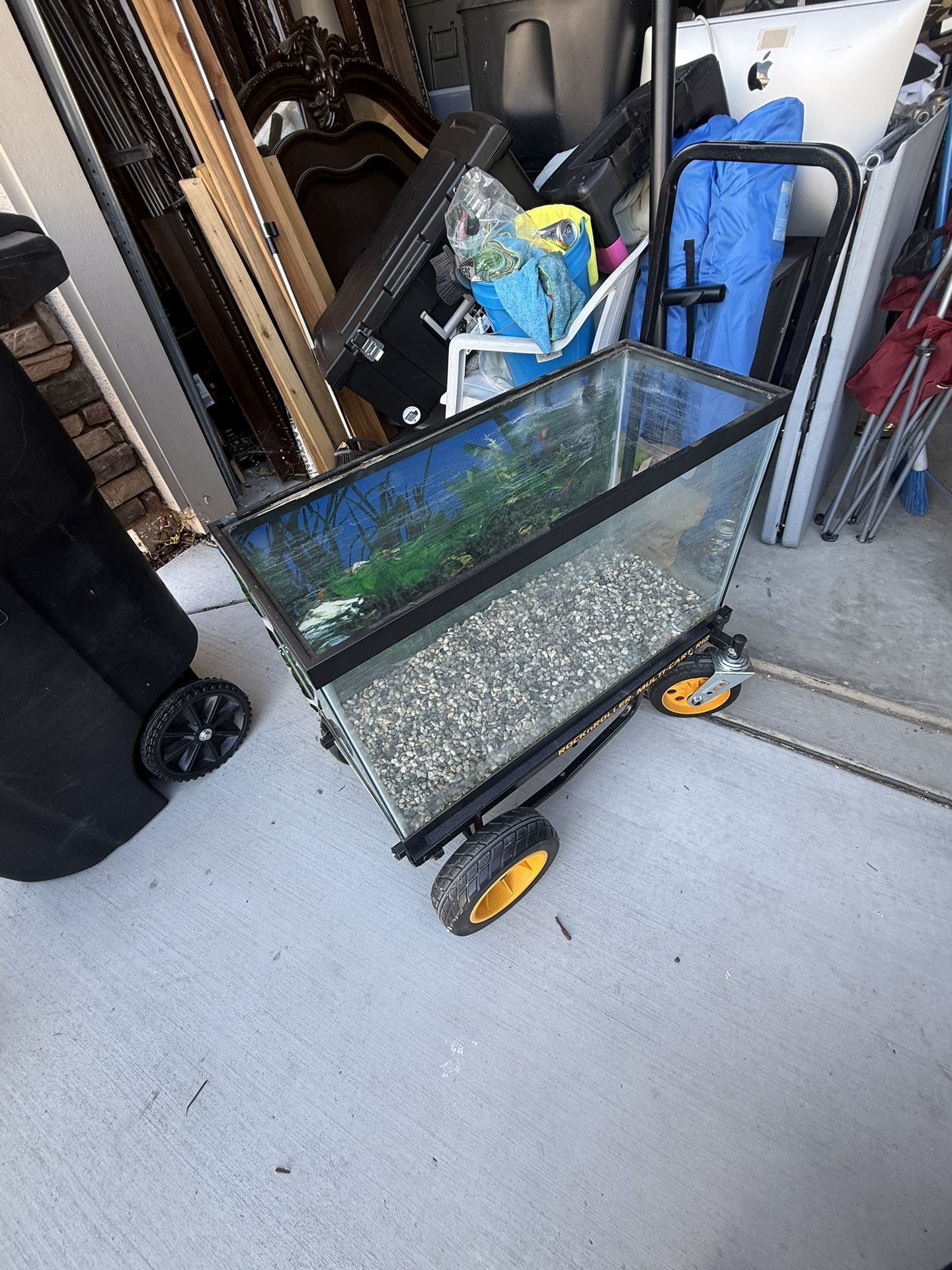 Fish/Reptile Tank
