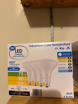 Bulbs