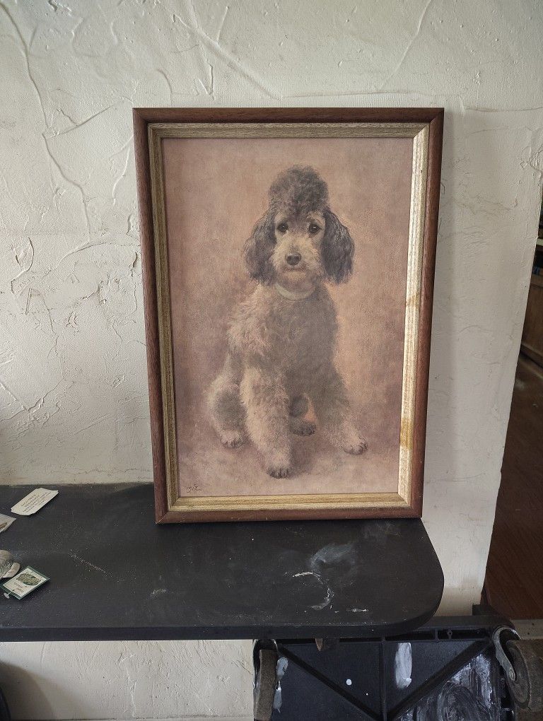 Oil Paintings