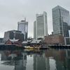 loveboston8