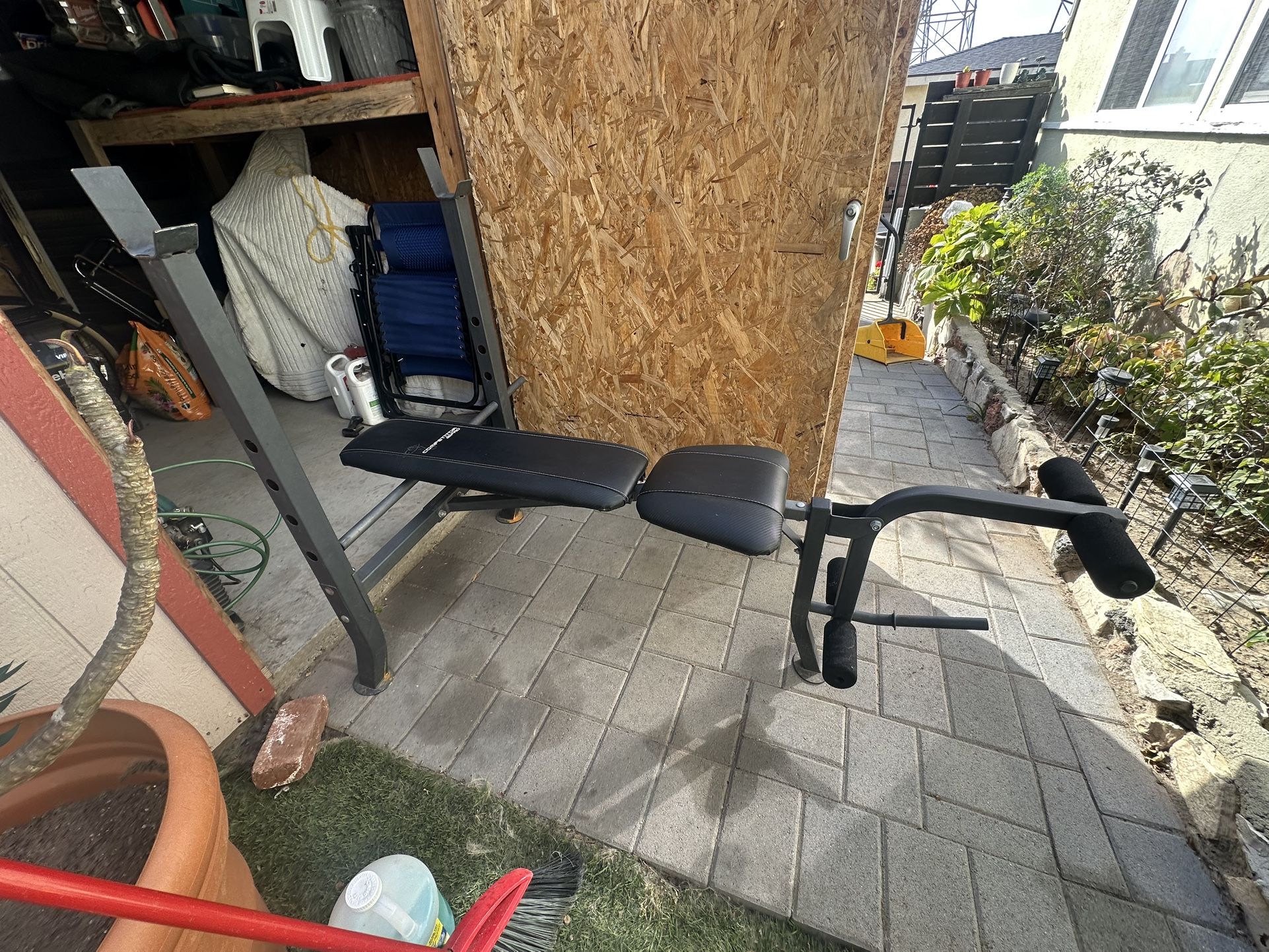 Weightlifting  Bench