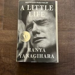 A Little Life Book