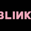 The Blink Store