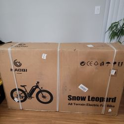 HAOQI Snow Leopard All Terrain Electric Fat Bike