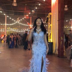 Prom Dress / PRICE $200