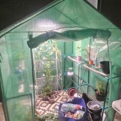 Green House Need It Gone BEST OFFER
