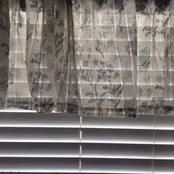 Curtains (home goods)