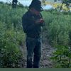 Guero