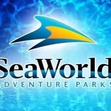 SeaWorld Orlando!!!!