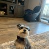 Ben