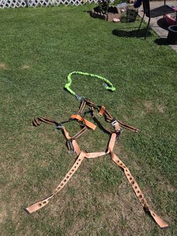 Safety Harness