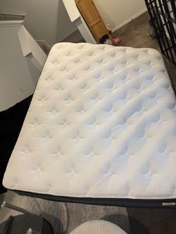 Queen size bed like new