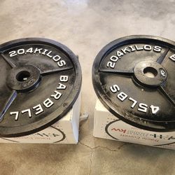 Olympic Plates Gym Weights 45s Lifetime Warranty $100 Pair Firm Price 