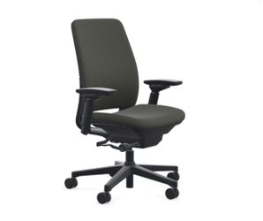 Steelcase Amia Chair