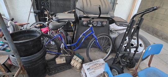Adult blue bike