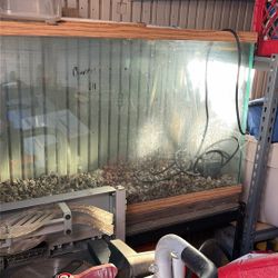 Aqua Ponics (fish-> Plants Ecosystem)