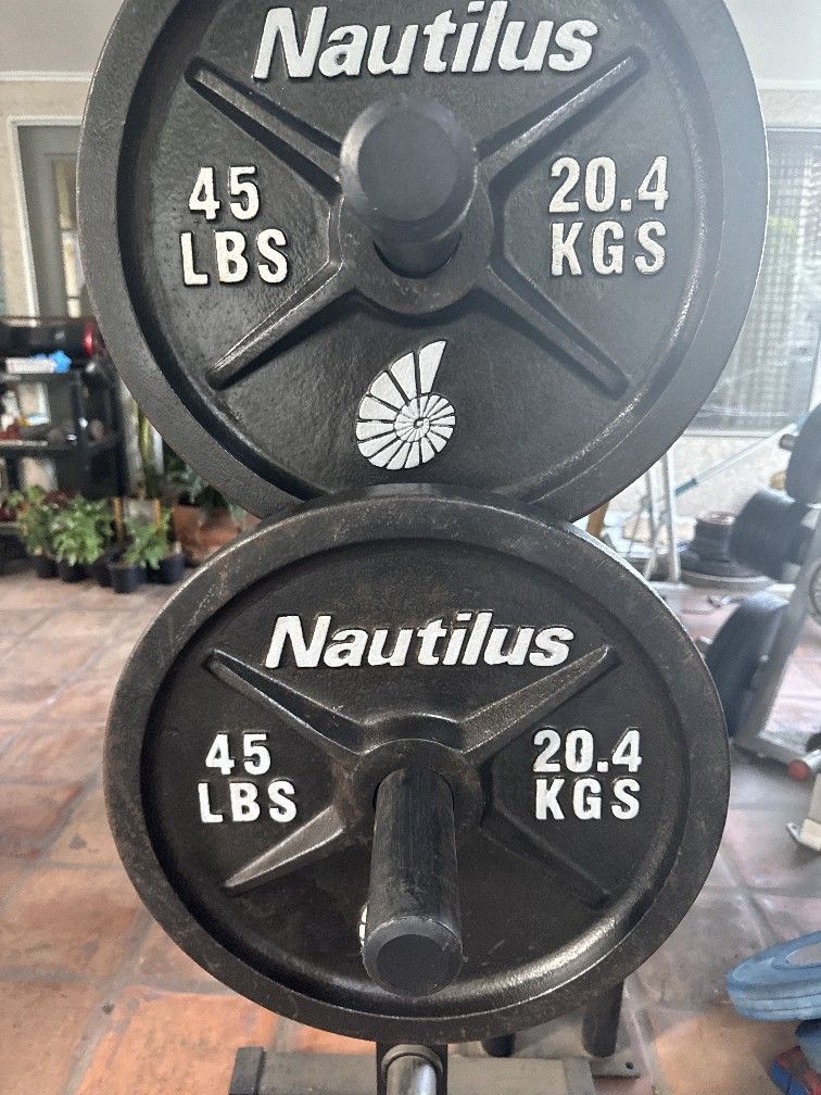 45 Lb Olympic Weights For Sale