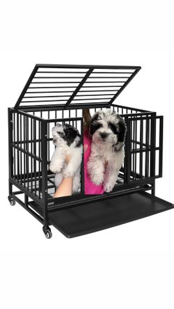 Dog Cage..