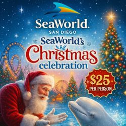 SEAWORLD 🎟️ 🐬💖🌈 THE MOST MAGICAL HOLIDAY EVENT OF THE YEAR! 🌈💖🐬