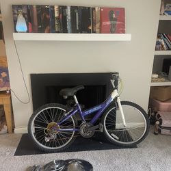 Purple Bike 