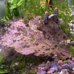 Fish Tank