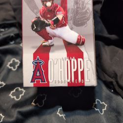 Bobble Head.