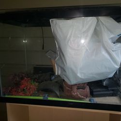 Large 20 Gallon Glass Fishtank With Stand And Supplies 