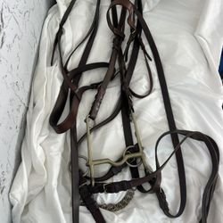 Horse Equestrian leather  reins Bridle Made In England