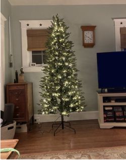 7.5 ft. Pre-Lit LED Jackson Noble Fir Christmas Tree