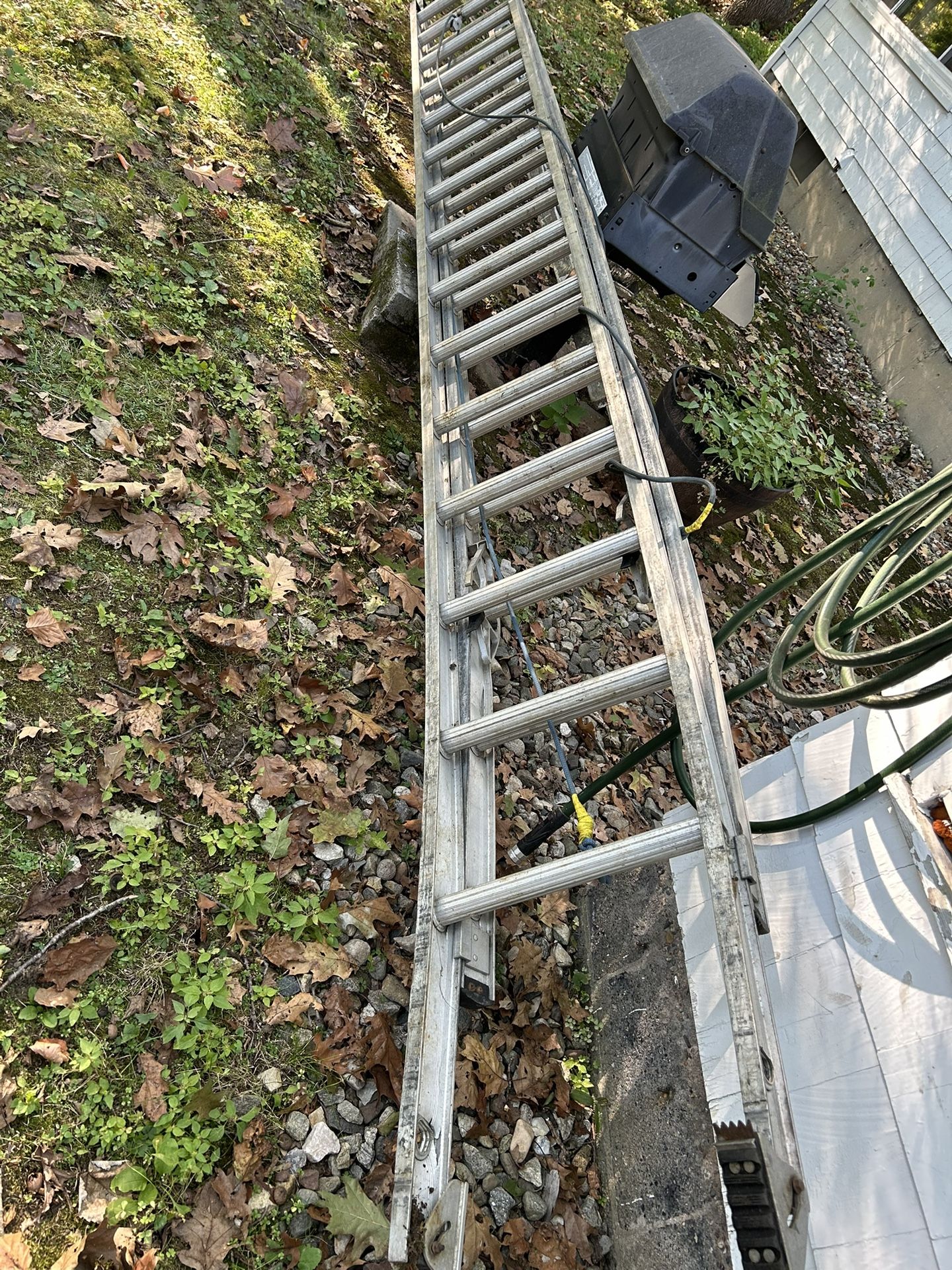 32ft Ladder