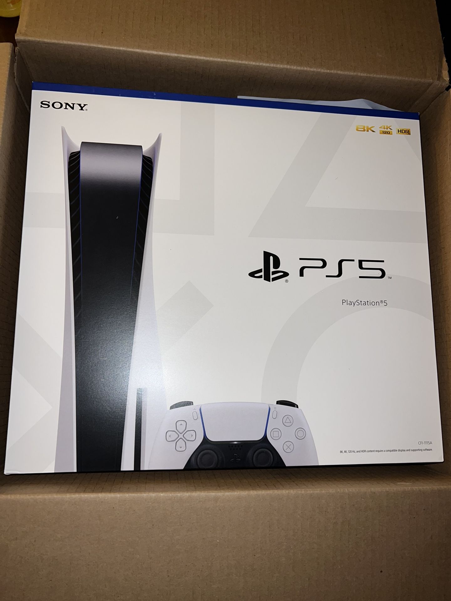 PlayStation 5 Disk