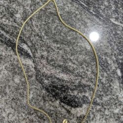 Apporo Gold Plated Necklace 