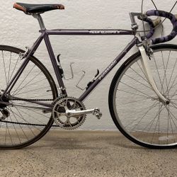 1985 Panasonic Team Europe II Campagnolo