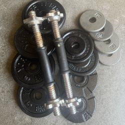Dumbbells Weights 
