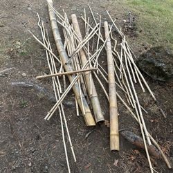 Free Bamboo