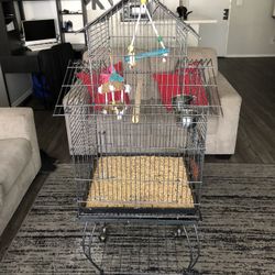 Bird Cage 