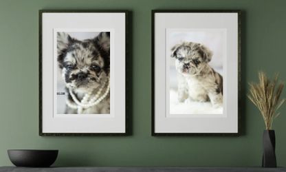 Art Frame Fluffy Frenchie