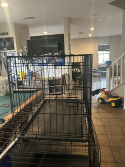 Dog Kennels For Sale!