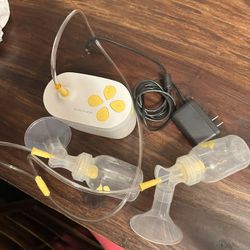 Medela Pump In Style
