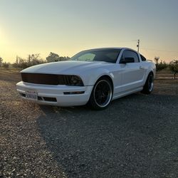 2006 Ford Mustang V6