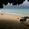 MauiGuy