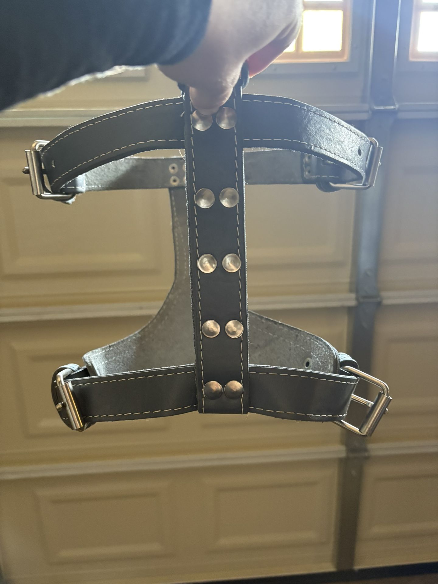 Leather Dog Harness